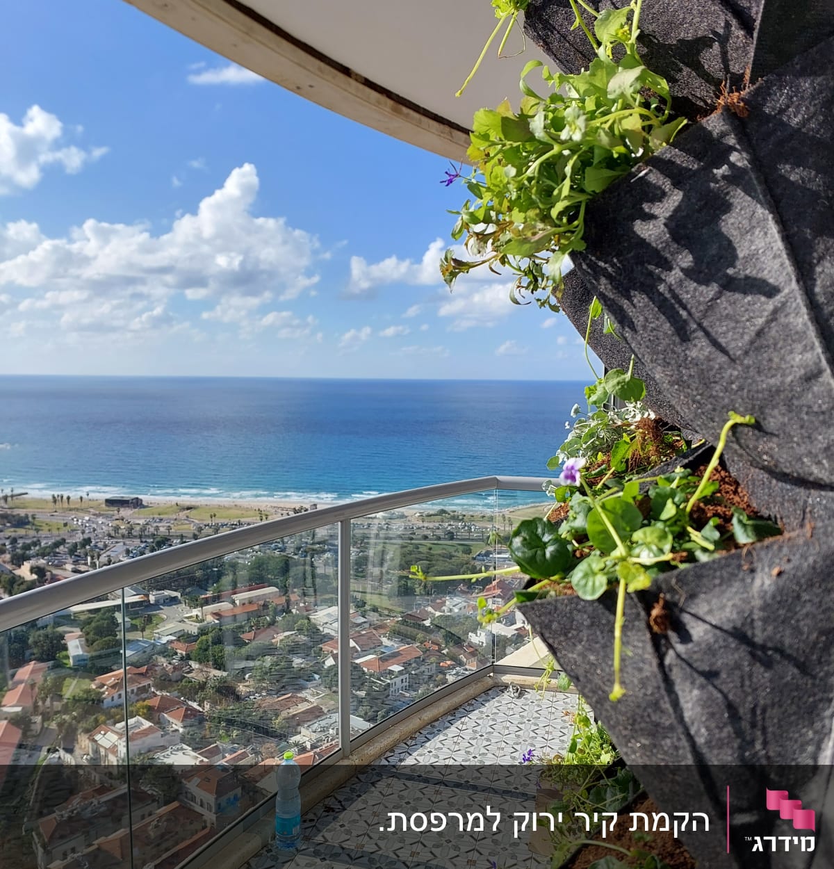 עציצים תלויים עם צמחים ירוקים במרפסת